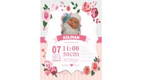 aslıhan anı panosu