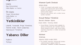 ihtiyacınız olan dilde sizi öne çıkaracak CV'ler hazırlarım