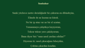 tiyatro, öykü vb. metinler yazıyorum ve denetliyorum