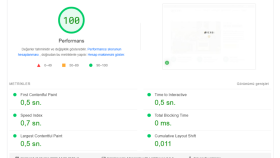 www.verdikuzine.com GTMetrix PageSpeed Optimizasyonu