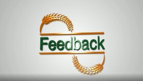 Feedback Logo Tasarım Çalışması