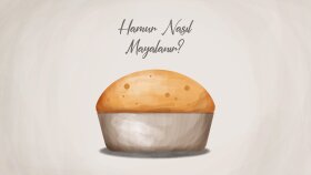 vektörel çizimler yapıyorum