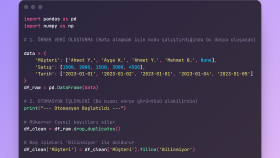 Python-Excel Otomasyonu ve Veri Analizi