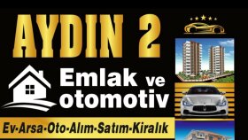 logo tasarımı ve web sıtesı kurulumu