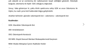 İngilizce-Türkçe çeviriler yapacağım