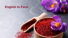 İnglizce'den Farsça'ya çevirmenlik yaparım