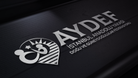 sizin için profesyonel imza logo yaparım