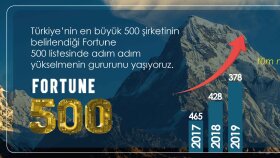 nanopet fortune 500