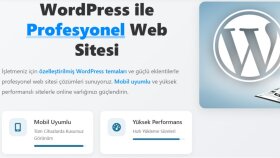 profesyonel bir şekilde sitenizi kurarım