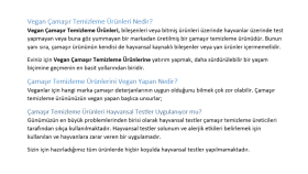 Vegan Market Platformu - Kategori Açıklaması
