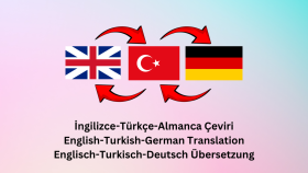 teknik alanlarda çeviri yapmaktayım
