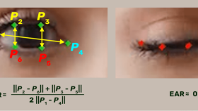 ARAÇLARDA UYKULU/UYKUSUZ TESPİTİ