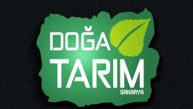 Logo--2