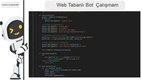 Web Tabanlı Python Botu