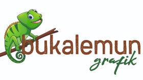 baskıya hazır broşür ve katalog tasarımı yaparım