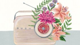 Radyo