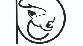 Barış Çelik Logo 2