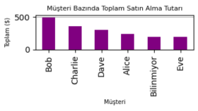 Müşteri Satın Alma Davranışlarının Analizi ve Veri Temizleme