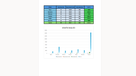 verilerinizi excel tablolarına ve grafiklere dönüştürürüm