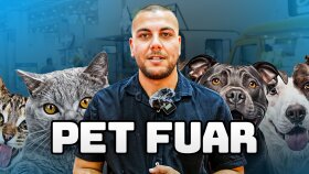 Panzertvmedia YouTube Videosu