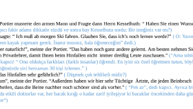 Almanca çeviri yaparım