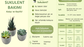Sukulent Bakımı-Örnek Broşür Tasarımı