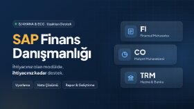 sap fi-co-trm danışmanlığı yaparım