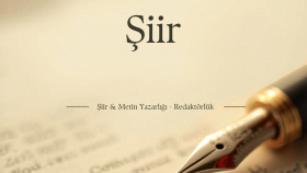 özgün ve etkileyici şiirler yazar, şiir redakte ederim