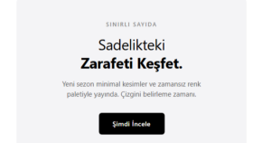 Profesyonel e-mail tasarımı