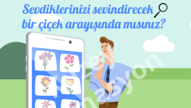 Instagram 2D Animasyon & Reklamlar