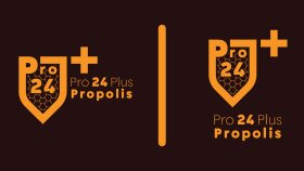 Pro 24 Plus logo çalışmam