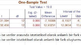 IBM SBSS, MİNİTAB İstatistiksel Veri Analizi