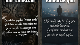 uykusuz gecelerin ve sessiz gölgelerin sözlerini yazarım