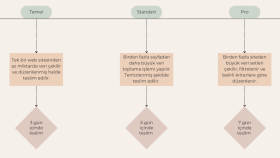 web scraping yaparım