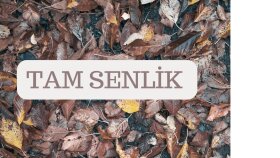 metin yazarlığı ve danışmanlık için size yardımcı olacağım