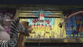 Madagaskar 3-Kaplan karakteri