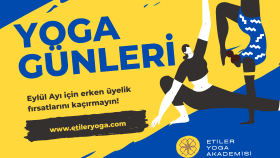 Bröşür ve Afiş Tasarımları