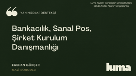 şirket kurulum ve sanal POS danışmanlığı verebilirim