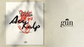 Kitap Kapak Tasarımı, Logo Tasarımı, İllüstrasyon