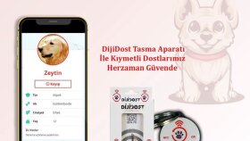 Sosyal Medya Tasarımlarım 