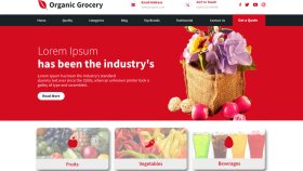WordPress ile profesyonel web sitesi kurarım