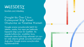google üzerinde bilgi paneli oluşturabilirim