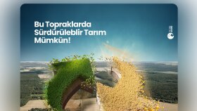 profesyonel ve etkileyici sosyal medya tasarımları yapıyorum