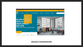 Web Tasarımı Çalışması