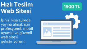 internet sitenizi aynı gün hazırlarım