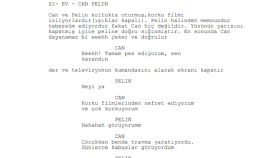 Önceki çalışmalarım