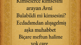 sizin için şiir ,şarkı sözü yazarlığı yapabilirim