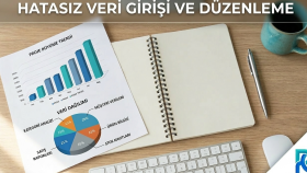 verilerinizi hatasız girer ve profesyonelce düzenlerim