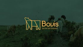''Bovis'' Logo Tasarımı