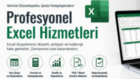profesyonel excel hizmetleri ve veri düzenleme yapıyorum